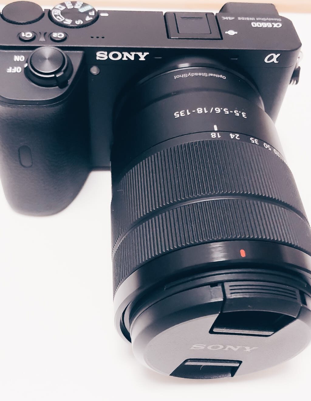 SONY α6600 レビュー／APS-C機のフラッグシップモデル。Zバッテリー採用で撮影可能枚数が激増