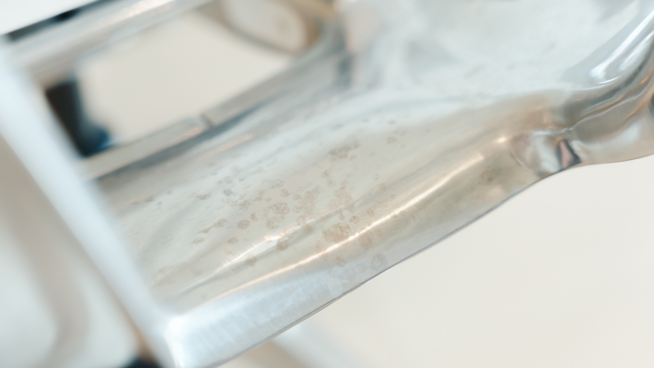 cofo chair premium old 2