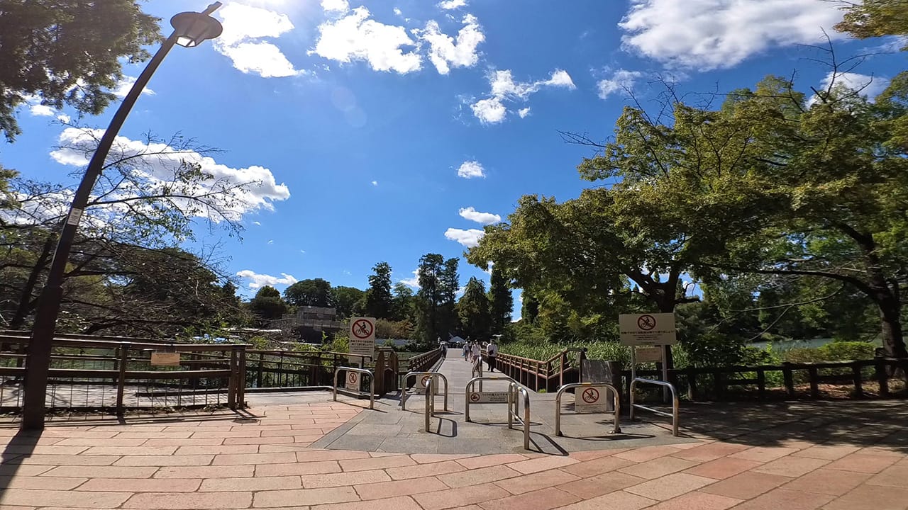 アクション広角