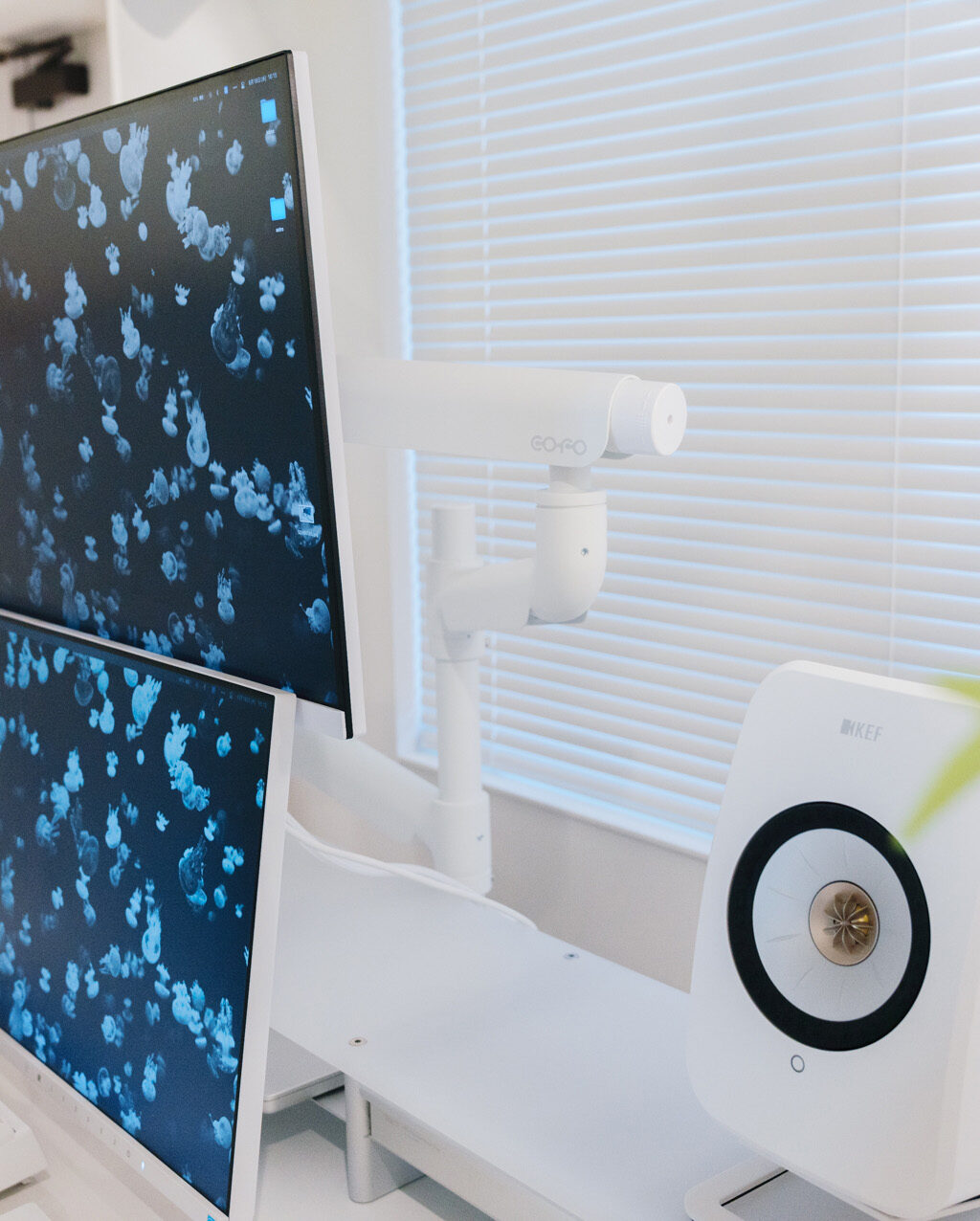 COFO 無重力モニターアーム Pro 上下配置版 レビュー／上下左右自由自在。デュアルの決定版