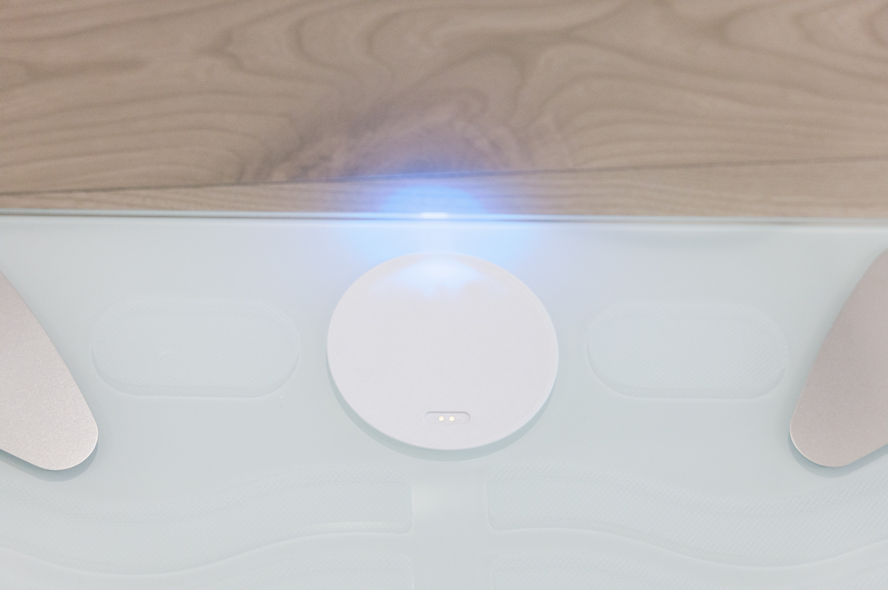 smart bathmat body composition 22