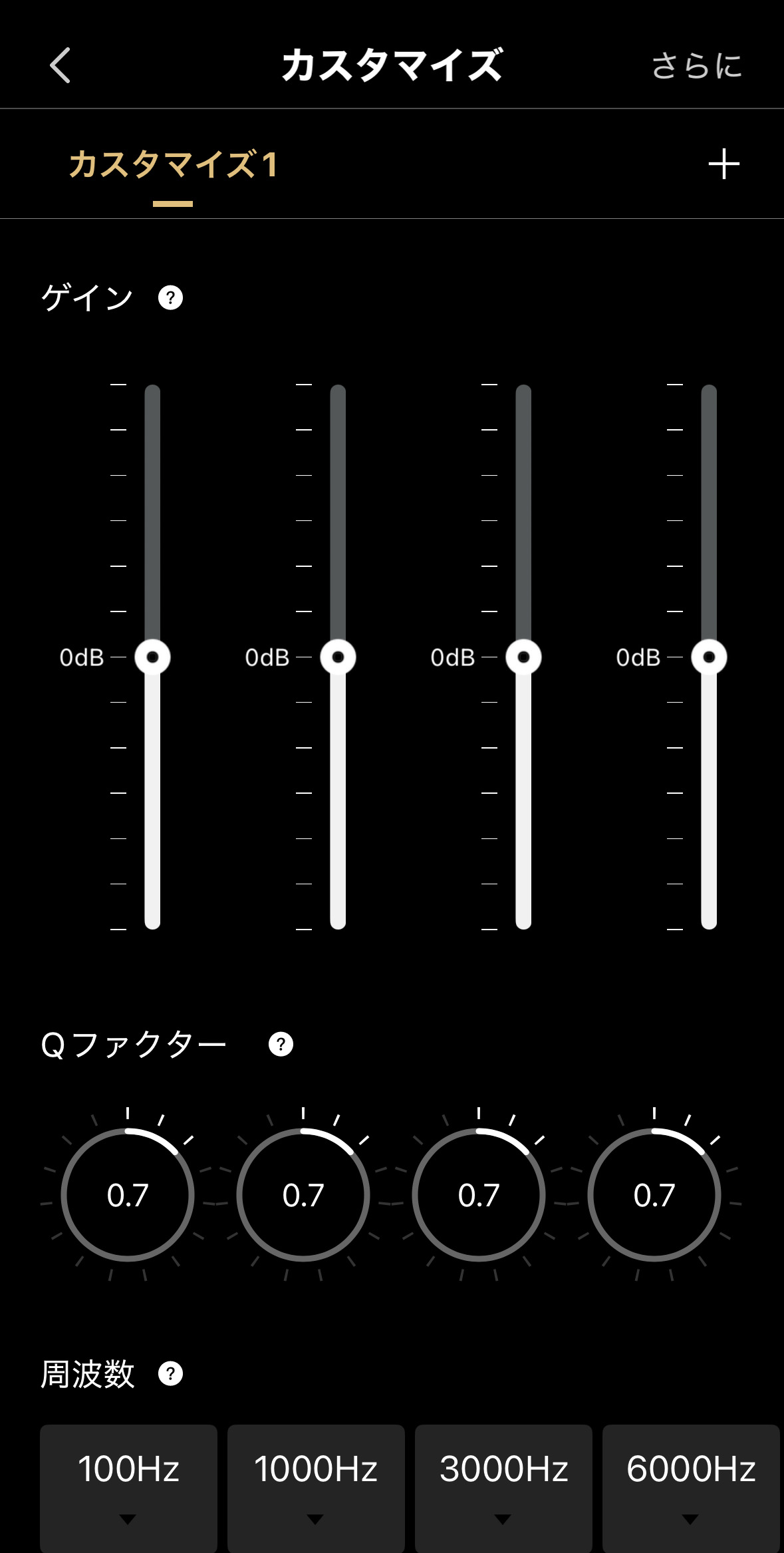 カスタムイコライザー