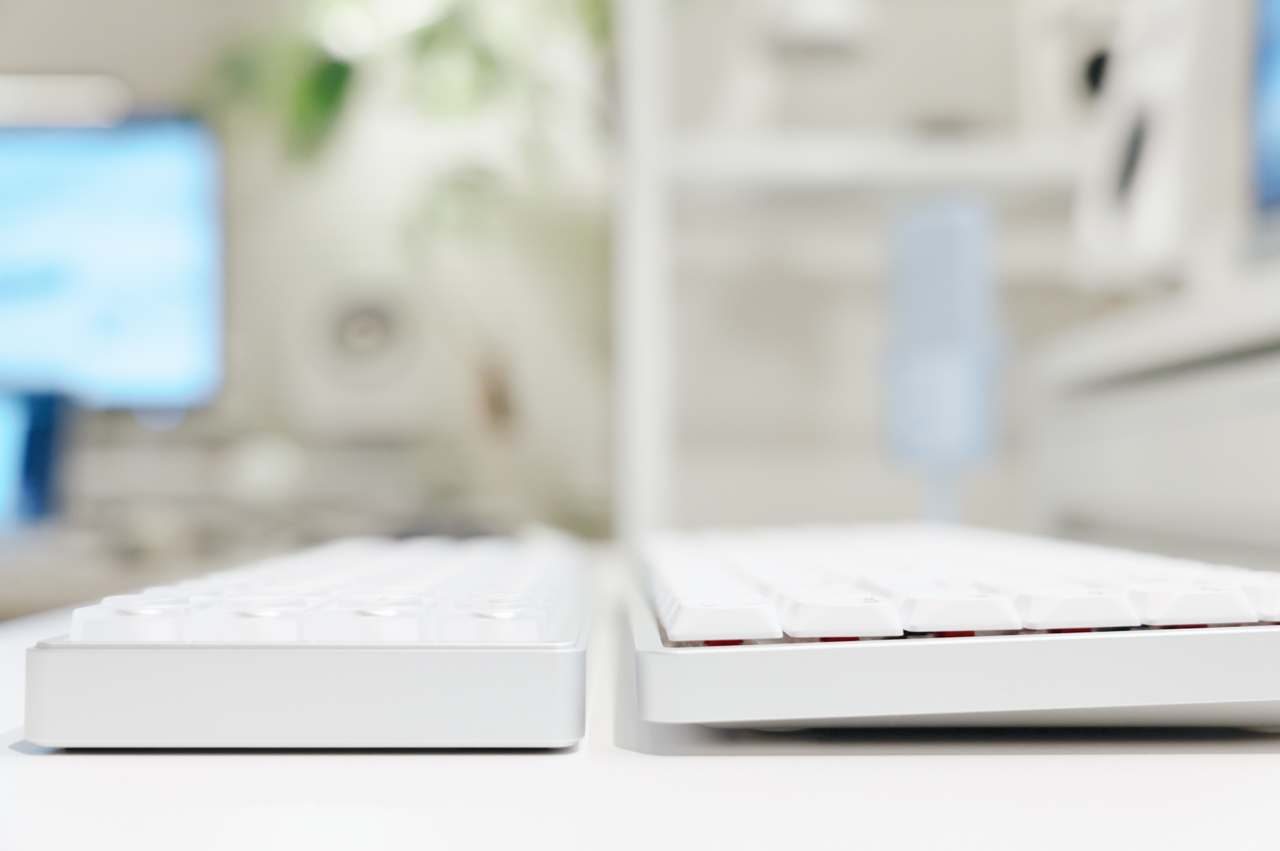 横から見た様子