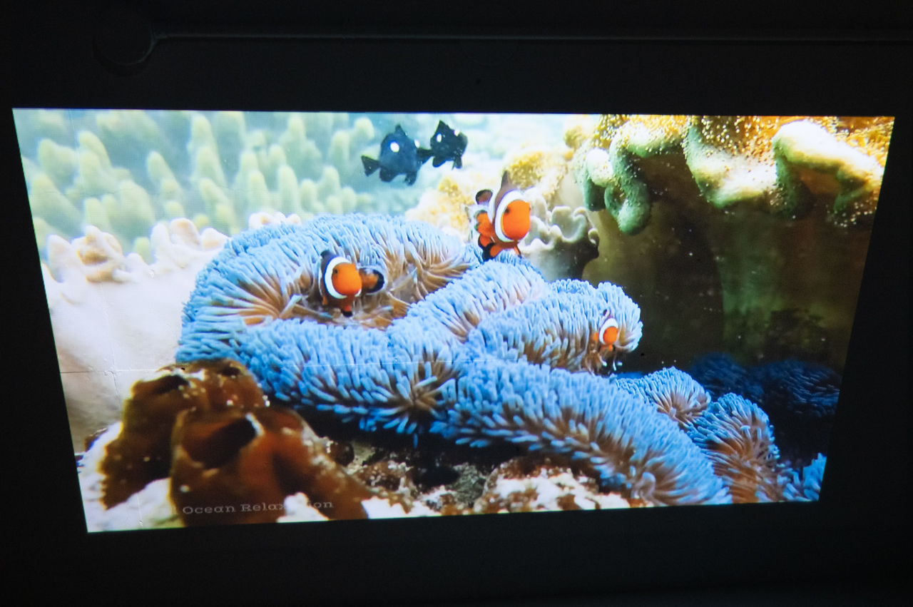 細かい部分も解像感が感じられる