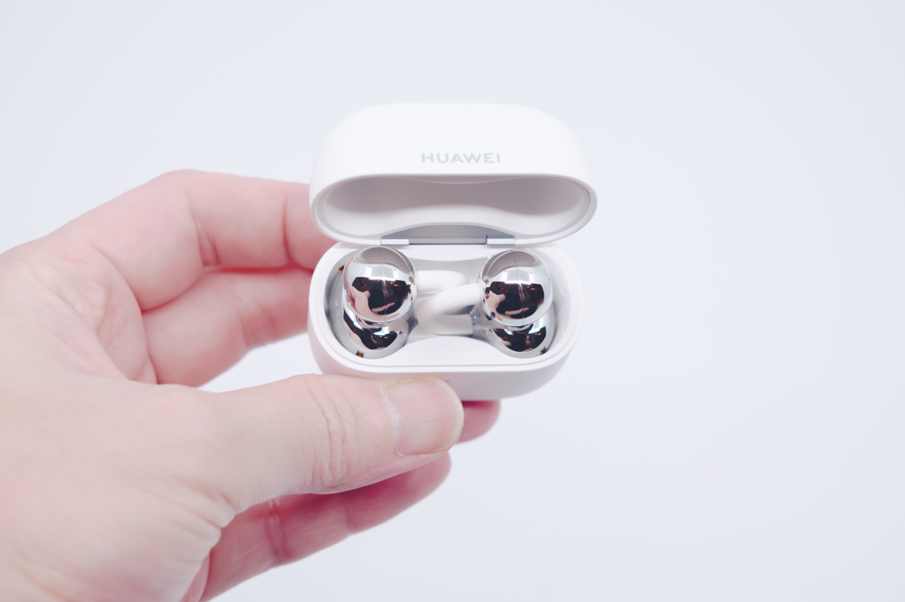 イヤホン本体が収められている