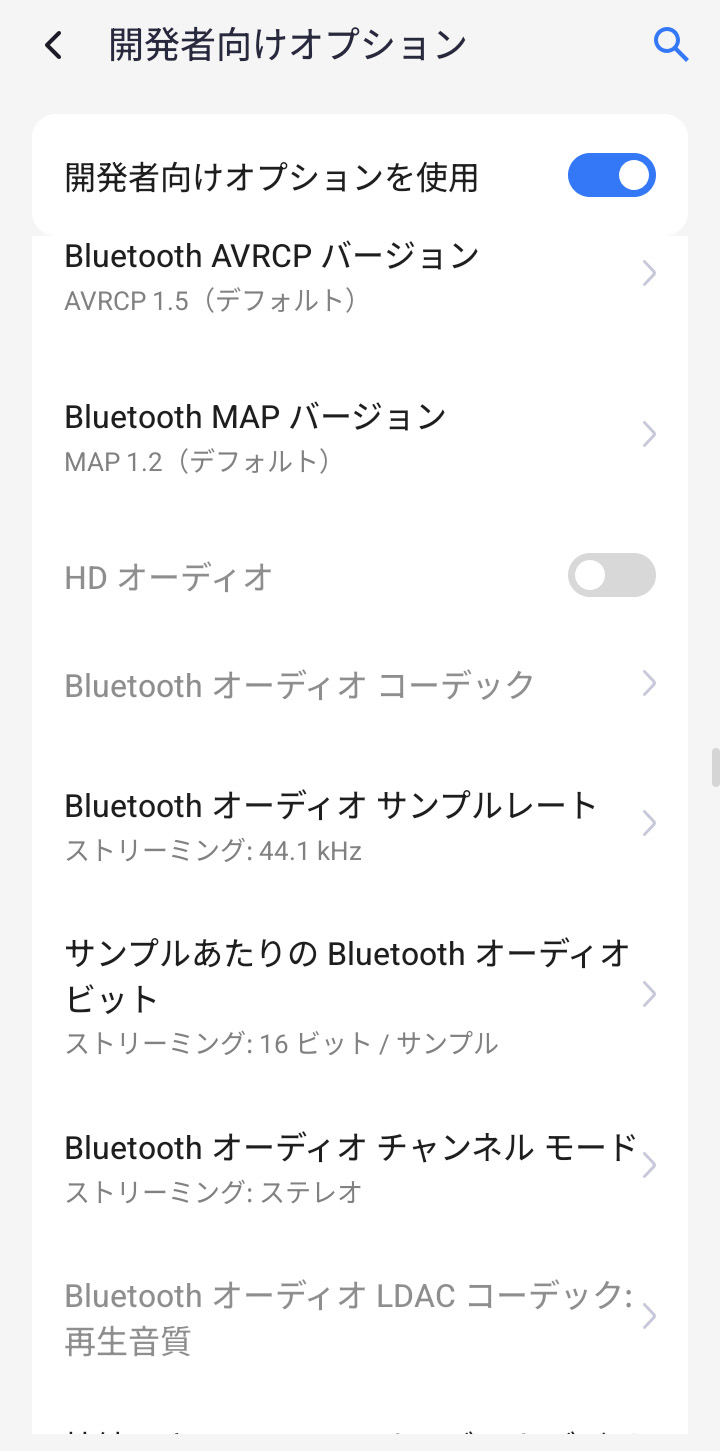 開発者オプションでも有効にできない