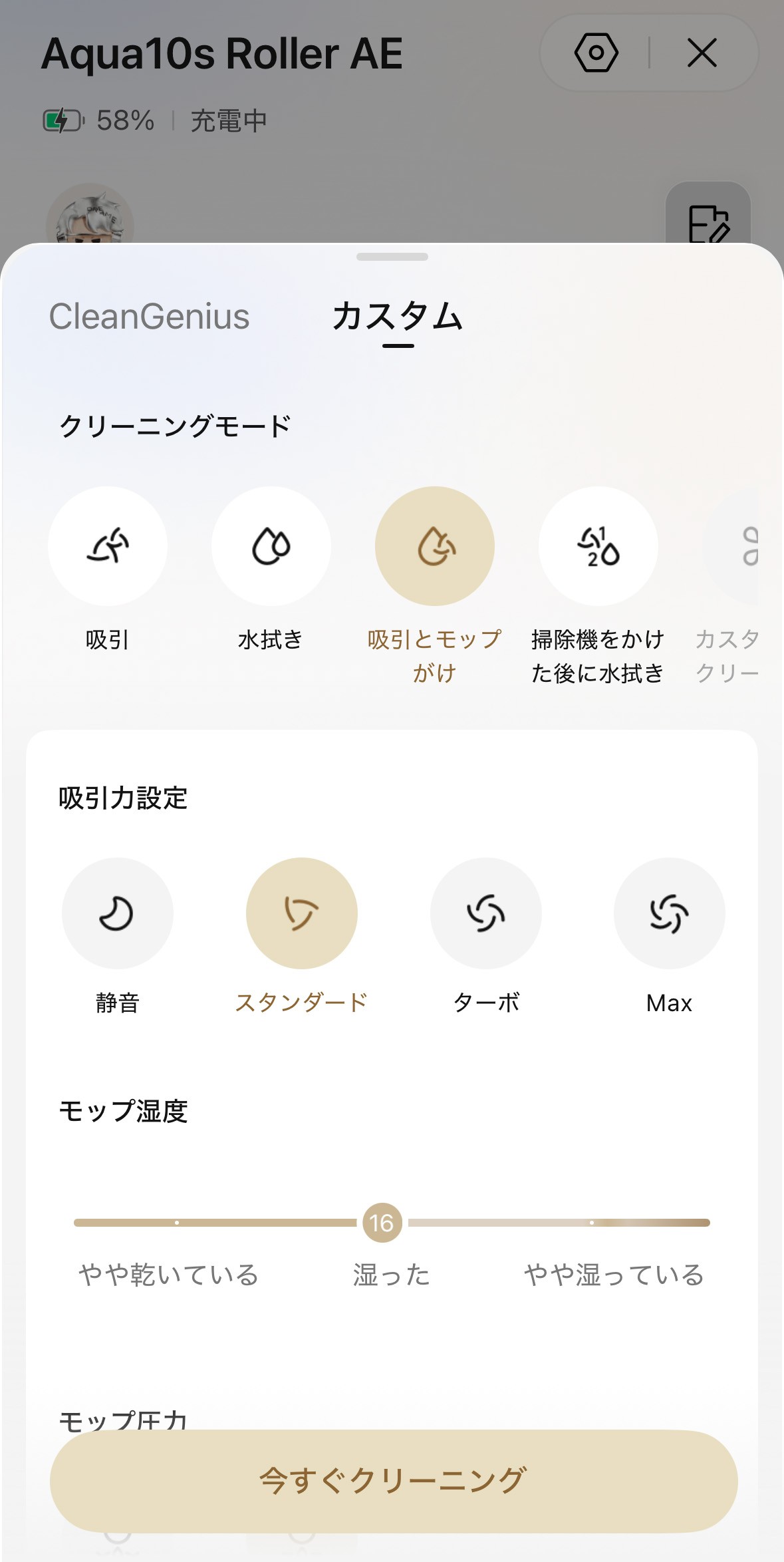 クリーニングのカスタム