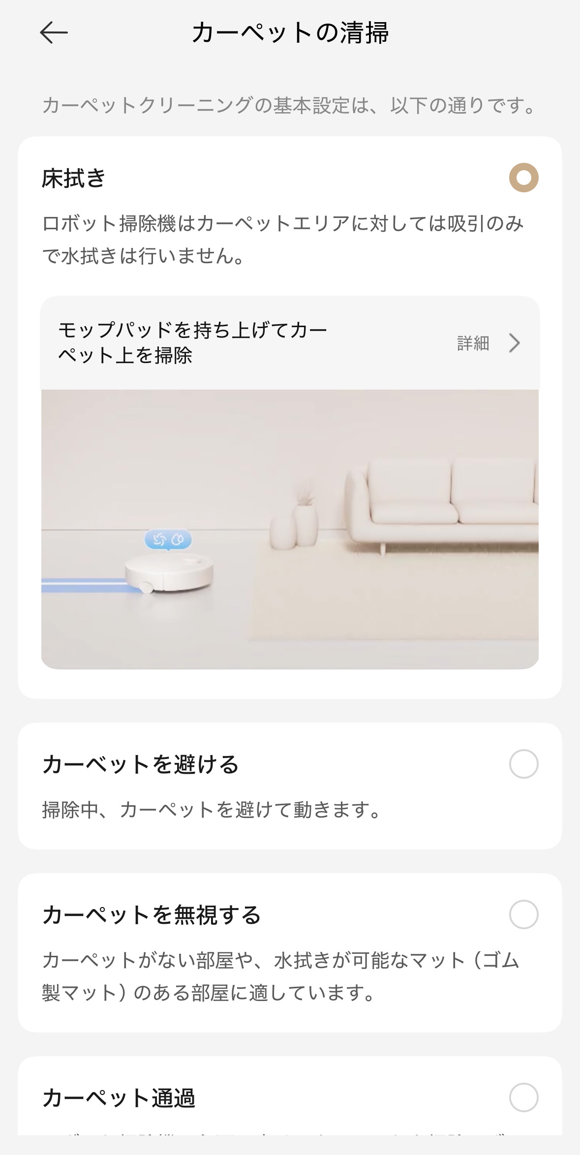 カーペットの清掃設定